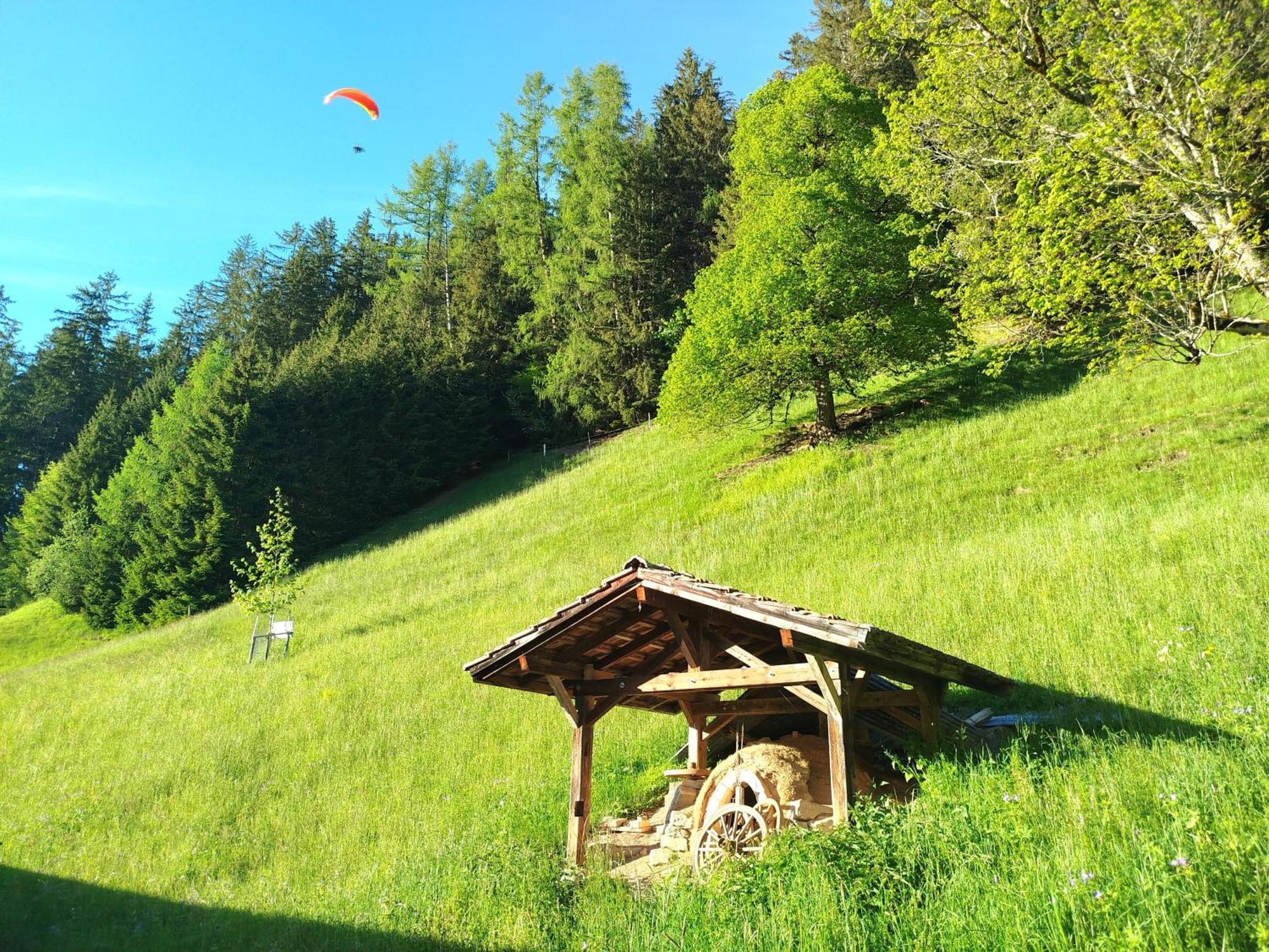 Sonnenhof Wengen - First Hotel Of 翁根 外观 照片
