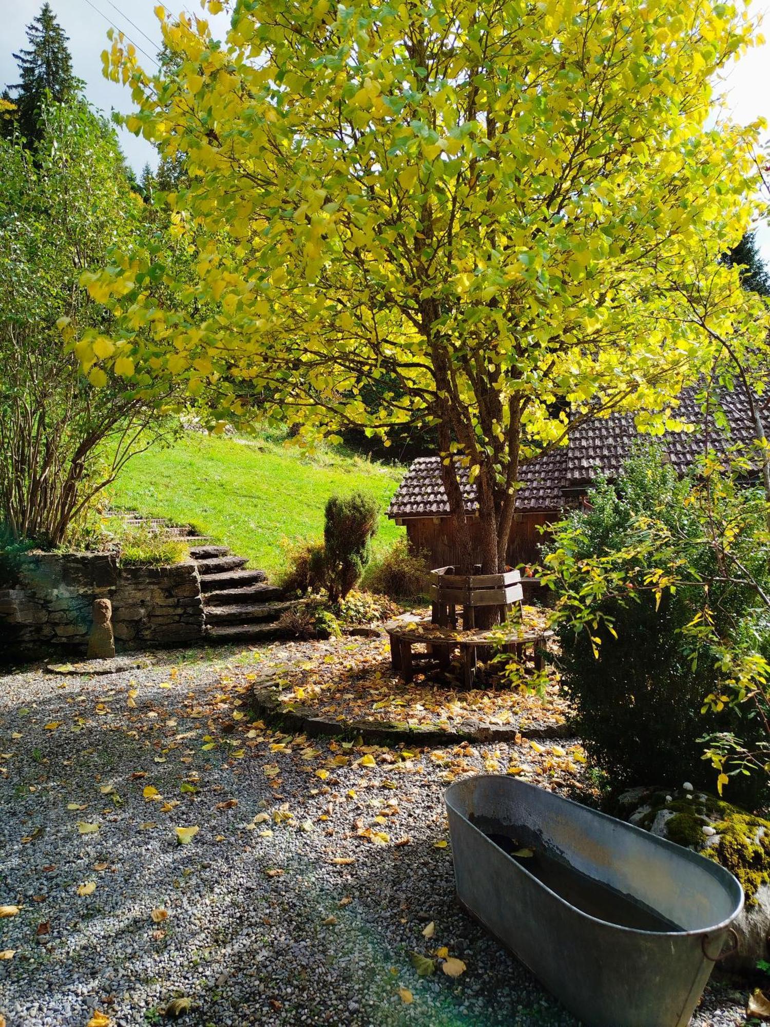 Sonnenhof Wengen - First Hotel Of 翁根 外观 照片
